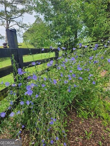 200 Mcclure Drive, Cumming, GA 30028