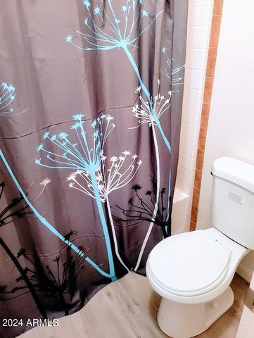 9797 E NEVADA Drive, Hereford, AZ 85615