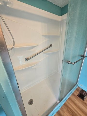 461 South Hamilton Street, Erwin, NY 14870