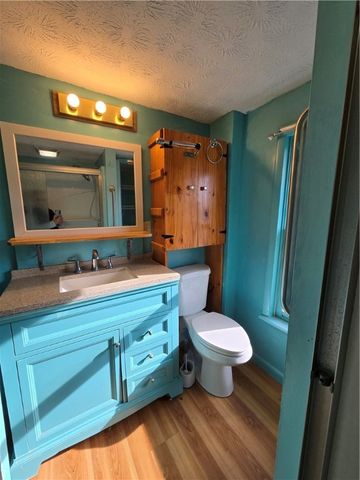 461 South Hamilton Street, Erwin, NY 14870