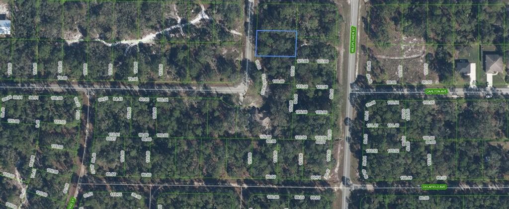 3202 S DAHLIA DRIVE, Lake Placid, FL 33852