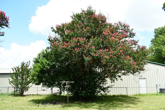 204 Mount Sylvan Street, Lindale, TX 75771