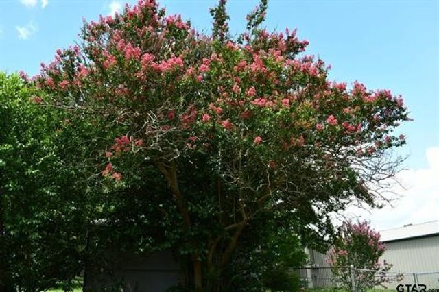 204 Mount Sylvan Street, Lindale, TX 75771