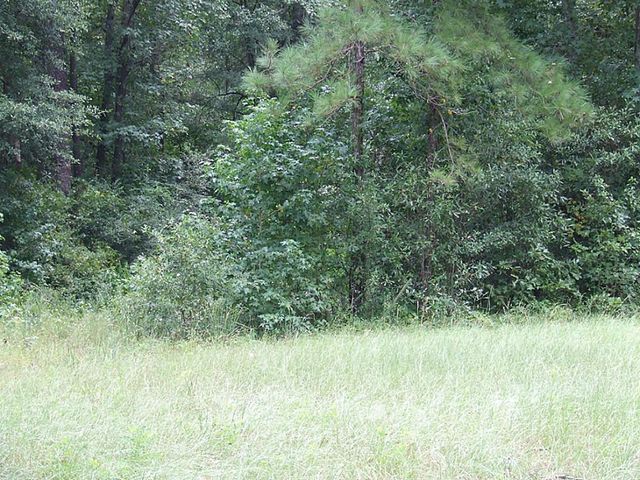 TBD Tbd Dorrell Road, Huntsville, TX 77340