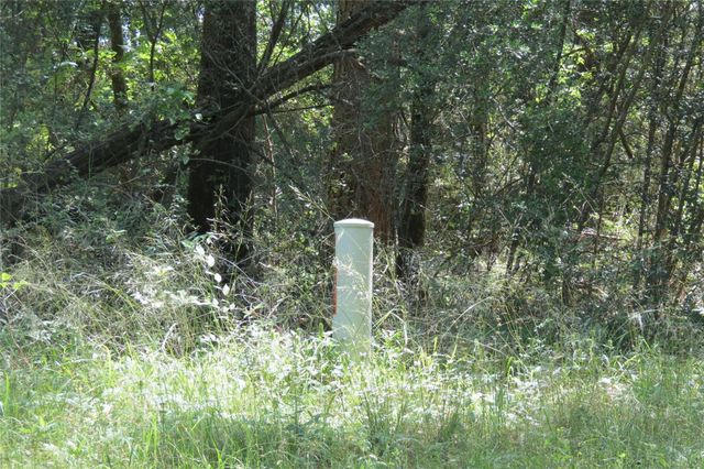 TBD Tbd Dorrell Road, Huntsville, TX 77340