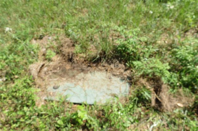 TBD Tbd Dorrell Road, Huntsville, TX 77340