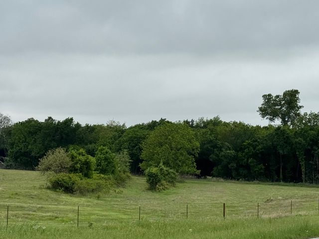 599 Lone Star, Poolville, TX 76487