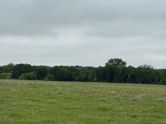 599 Lone Star, Poolville, TX 76487