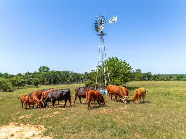 599 Lone Star, Poolville, TX 76487