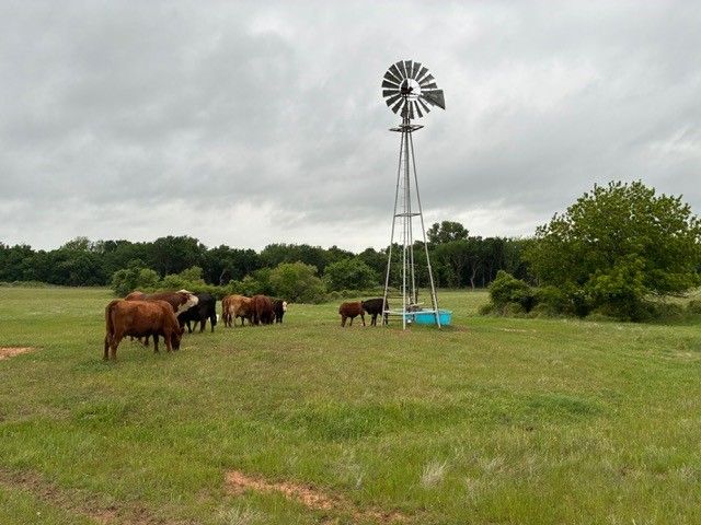 599 Lone Star, Poolville, TX 76487