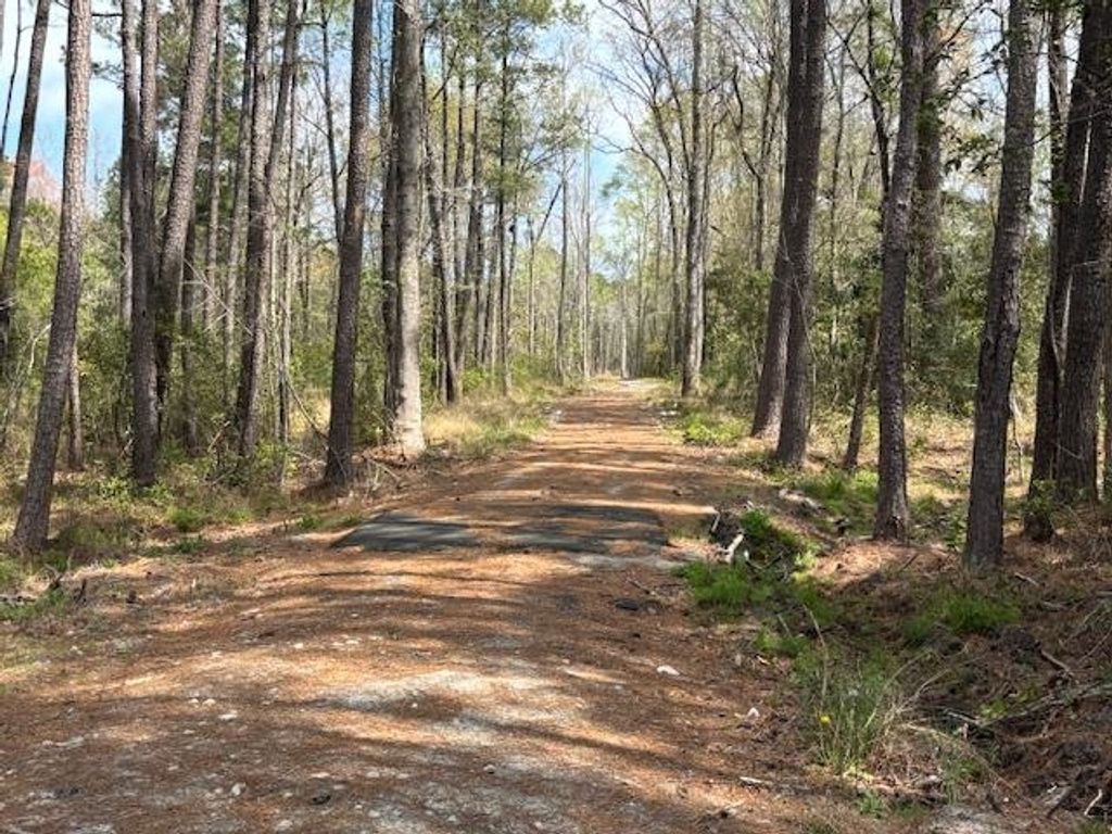 TBD Lot 1 Coats Rd., Loris, SC 29569 — photo 4