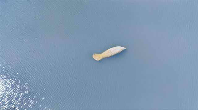 6824 Danah CT, Fort Myers, FL 33908