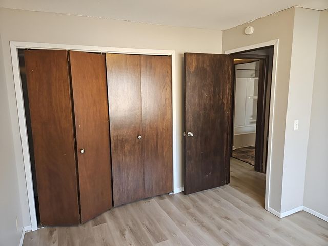 10810 Linwood Forest Drive, Champlin, MN 55316