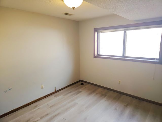 10810 Linwood Forest Drive, Champlin, MN 55316