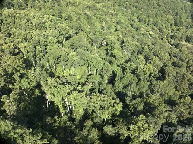 TBD Ox Creek Road, Weaverville, NC 28787