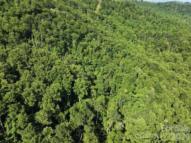 TBD Ox Creek Road, Weaverville, NC 28787