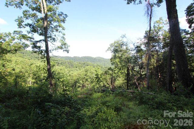 TBD Ox Creek Road, Weaverville, NC 28787