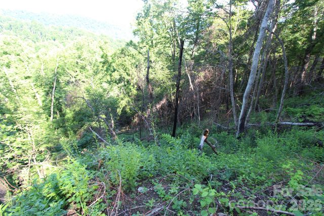TBD Ox Creek Road, Weaverville, NC 28787