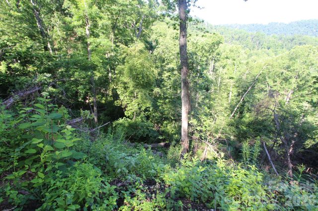 TBD Ox Creek Road, Weaverville, NC 28787