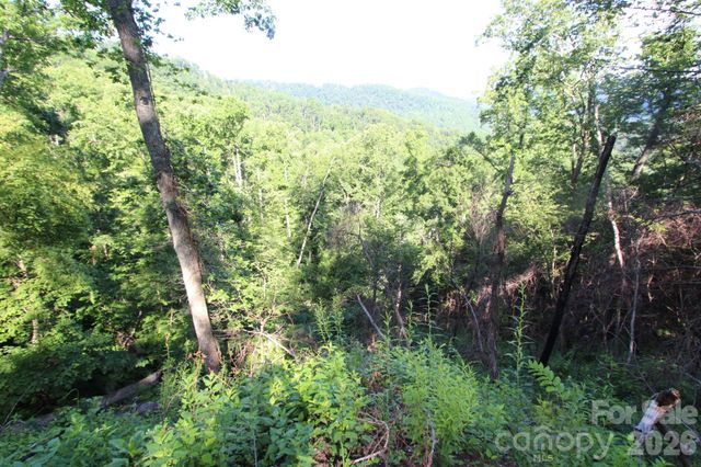 TBD Ox Creek Road, Weaverville, NC 28787
