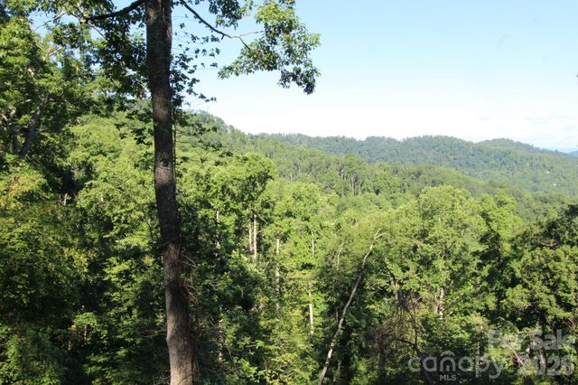 TBD Ox Creek Road, Weaverville, NC 28787