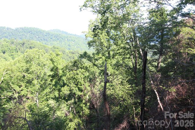 TBD Ox Creek Road, Weaverville, NC 28787