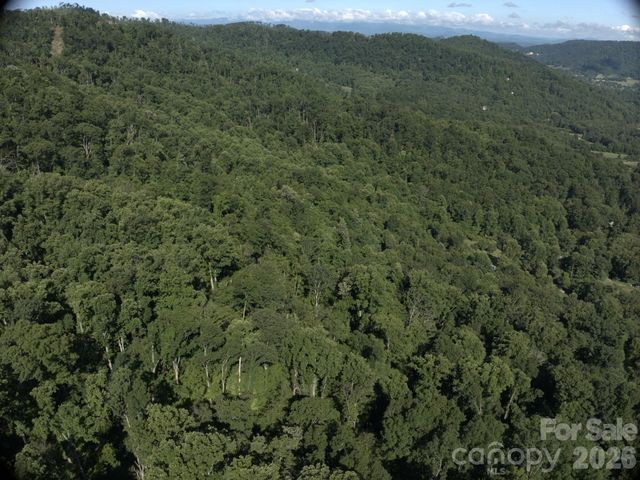 TBD Ox Creek Road, Weaverville, NC 28787