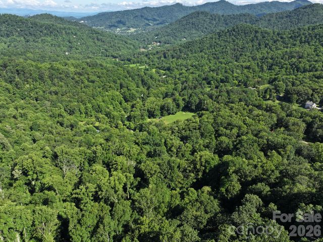 TBD Ox Creek Road, Weaverville, NC 28787