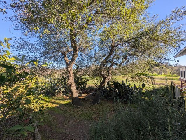 3436 Davis Dr, Burson, CA 95225