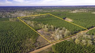 950 Tram Road, Livingston, TX 77351