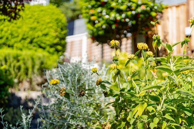 233 Wixon Avenue, Aptos, CA 95003