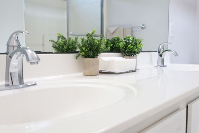 2629 Lani Court, Charleston, SC 29414