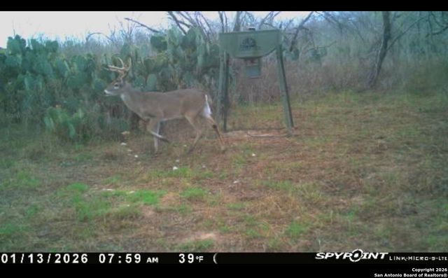 137 Viridian View, Pleasanton, TX 78064