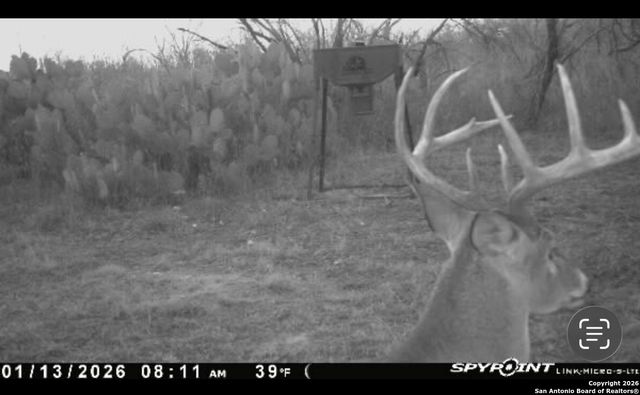 137 Viridian View, Pleasanton, TX 78064