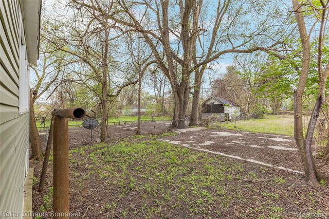 17167 Hasse Street, Hamtramck, MI 48212