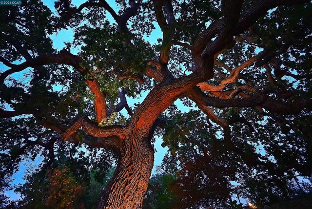 1239 1239 Sunrise Ridge Dr, Lafayette, CA 94549