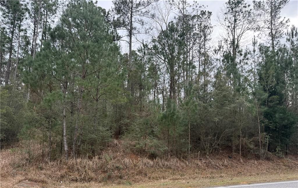 0 Weaver Road, Mount Vernon, AL 36560 — exterior