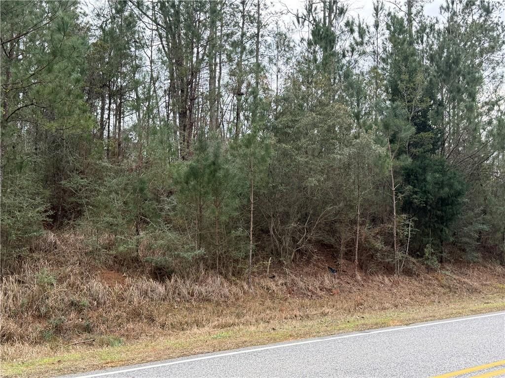 0 Weaver Road, Mount Vernon, AL 36560 — photo 2