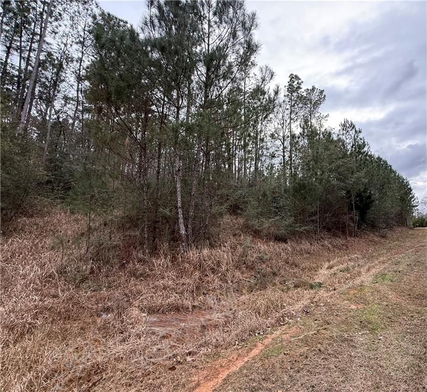 0 Weaver Road, Mount Vernon, AL 36560 — photo 3