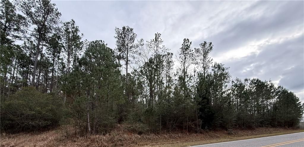 0 Weaver Road, Mount Vernon, AL 36560 — photo 4