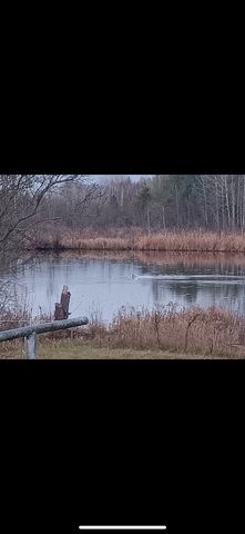 4419 10 Mile Road, Evart, MI 49631