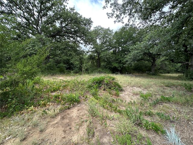176 Live Oak Road, Springtown, TX 76082