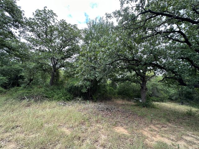 176 Live Oak Road, Springtown, TX 76082