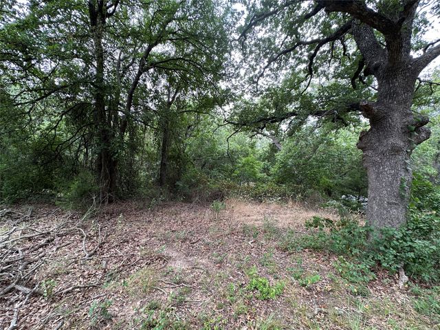 176 Live Oak Road, Springtown, TX 76082