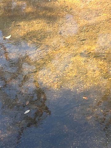 0 RR 152, Castell, TX 78643