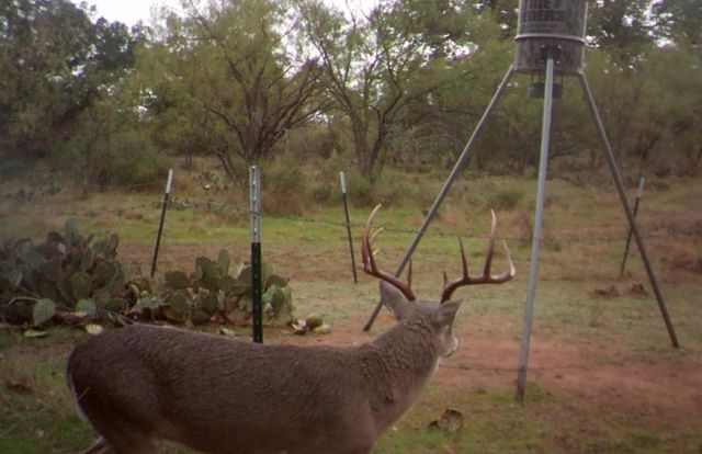 0 RR 152, Castell, TX 78643