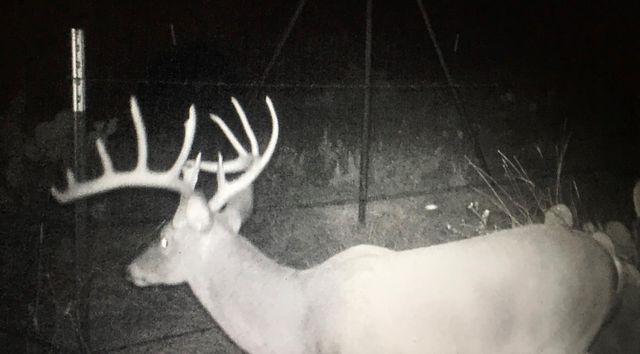 0 RR 152, Castell, TX 78643