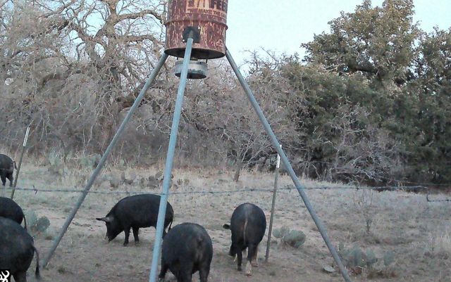 0 RR 152, Castell, TX 78643