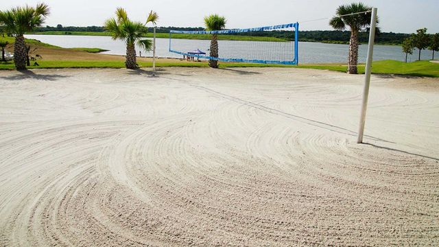 1229 Harris Hawk Way, Arlington, TX 76005