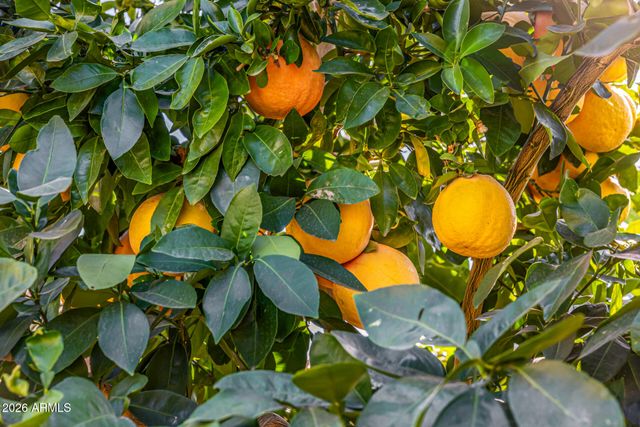 6726 N 11TH Street, Phoenix, AZ 85014